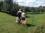 Beckwith Orchards