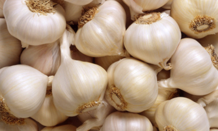 garlic1.jpg