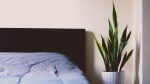 Make Your Bedroom Stylish and&nbsp;Sleep-Friendly