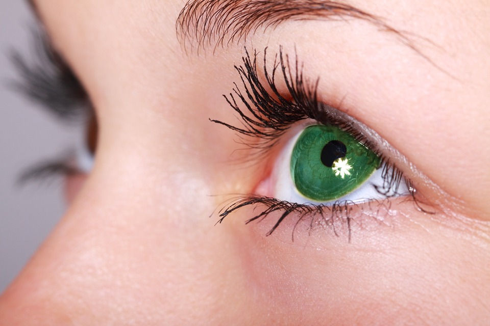The Eyesight Plight: Are You Damaging Your Vision? | lifewithlilred