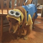 October Guest Bloggers&nbsp;Reminder