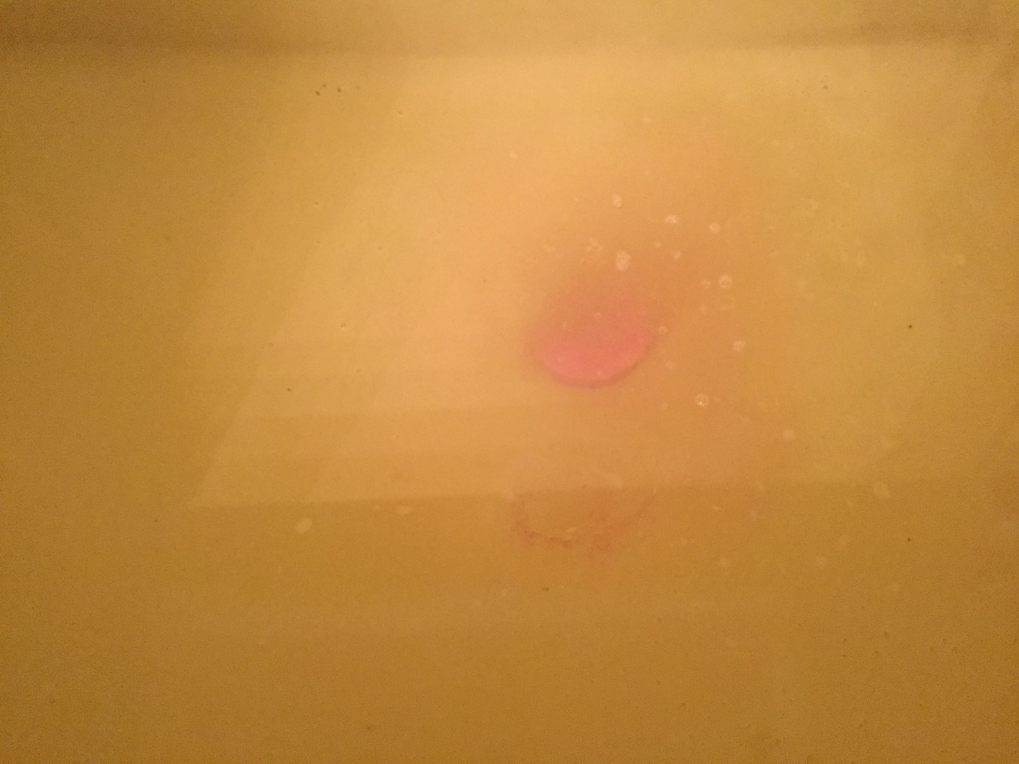 E3D2207D-FE4E-42BA-9F05-A56E70DD7368