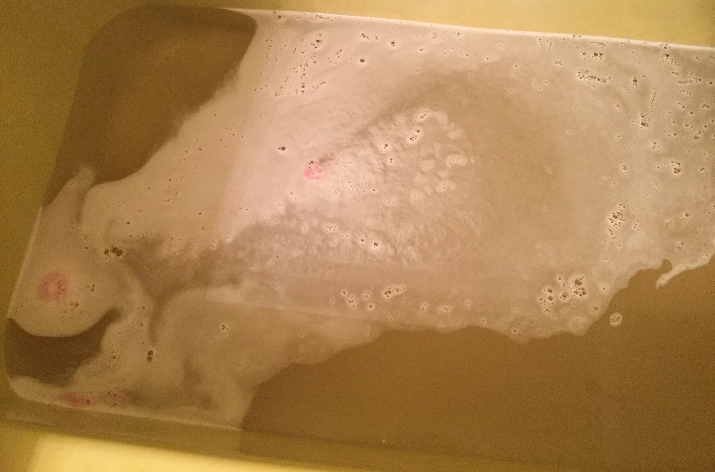 7A122EA4-DED4-48DE-8CAC-2816EE16BA42