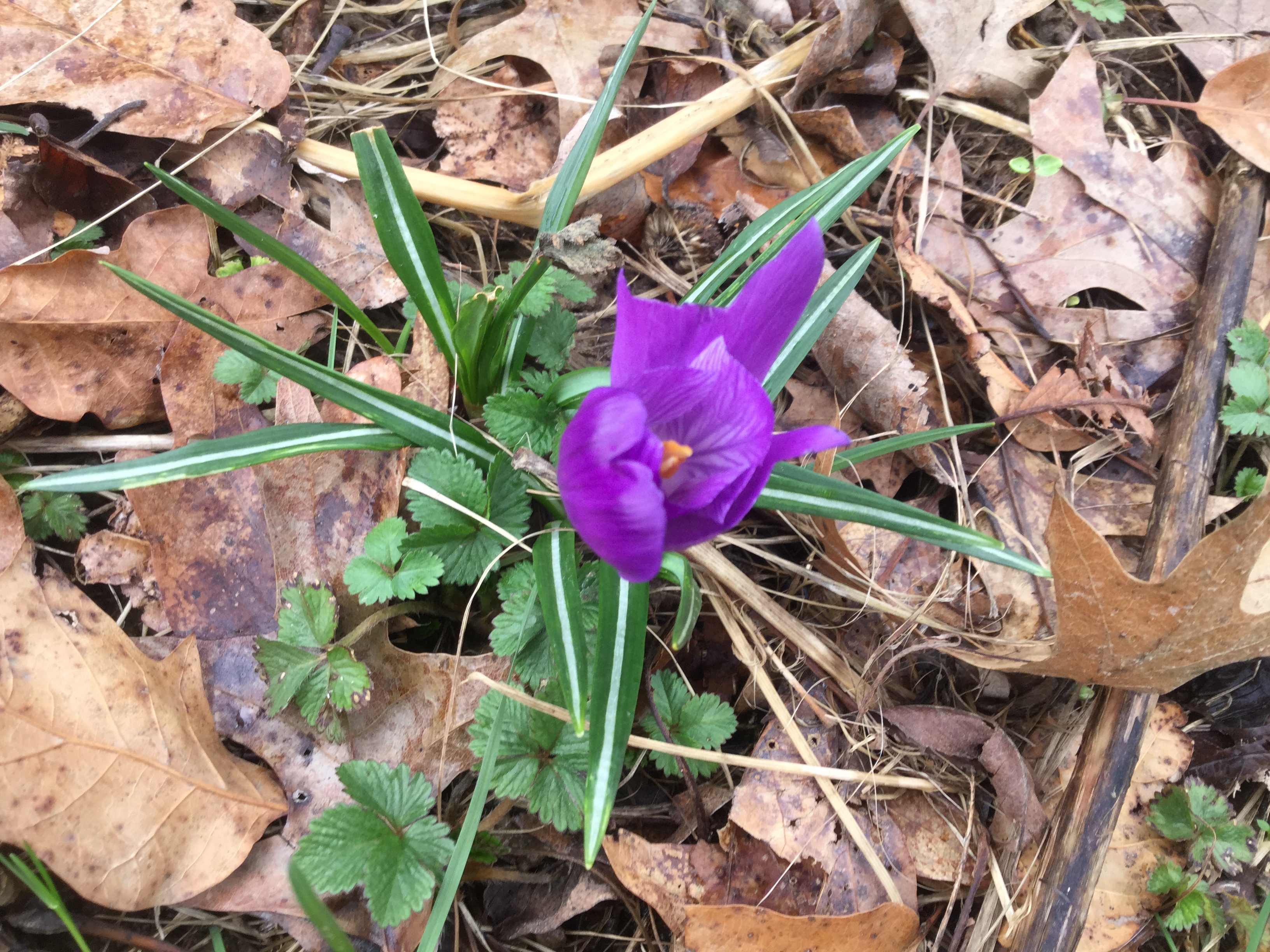 9CA749FA-C9BD-44B2-9F5F-FF67D1A97E0D