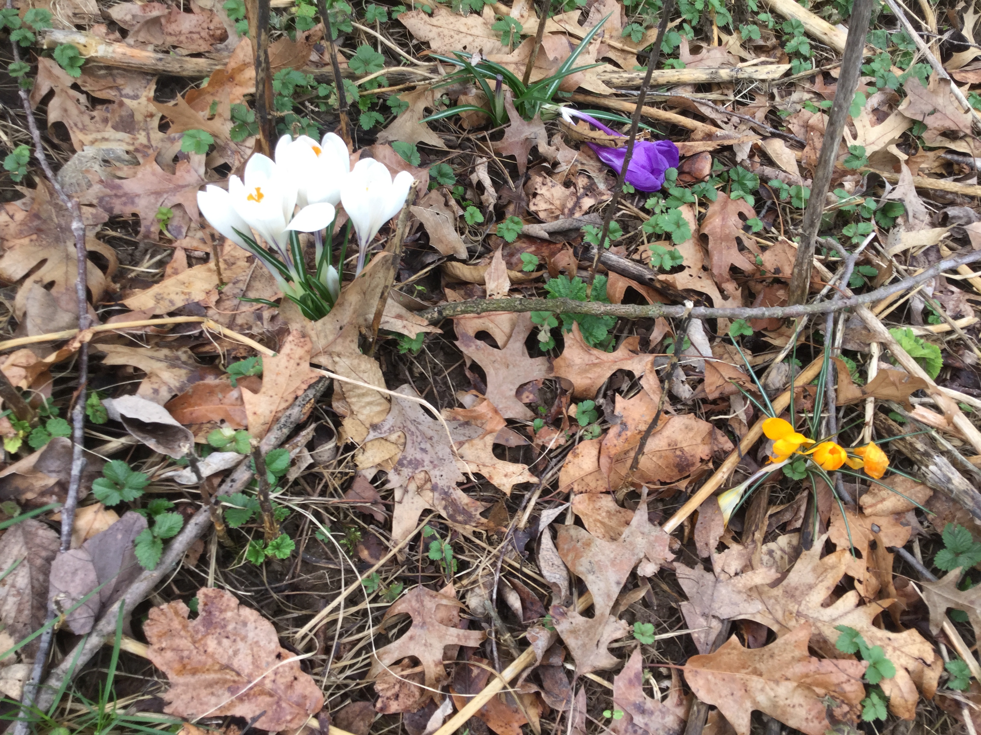 BEF06C9E-03CE-43A4-9491-FD86D4783579