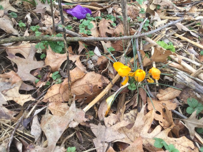 C5267479-4D55-4CFE-A67D-3F0F014E2ED0