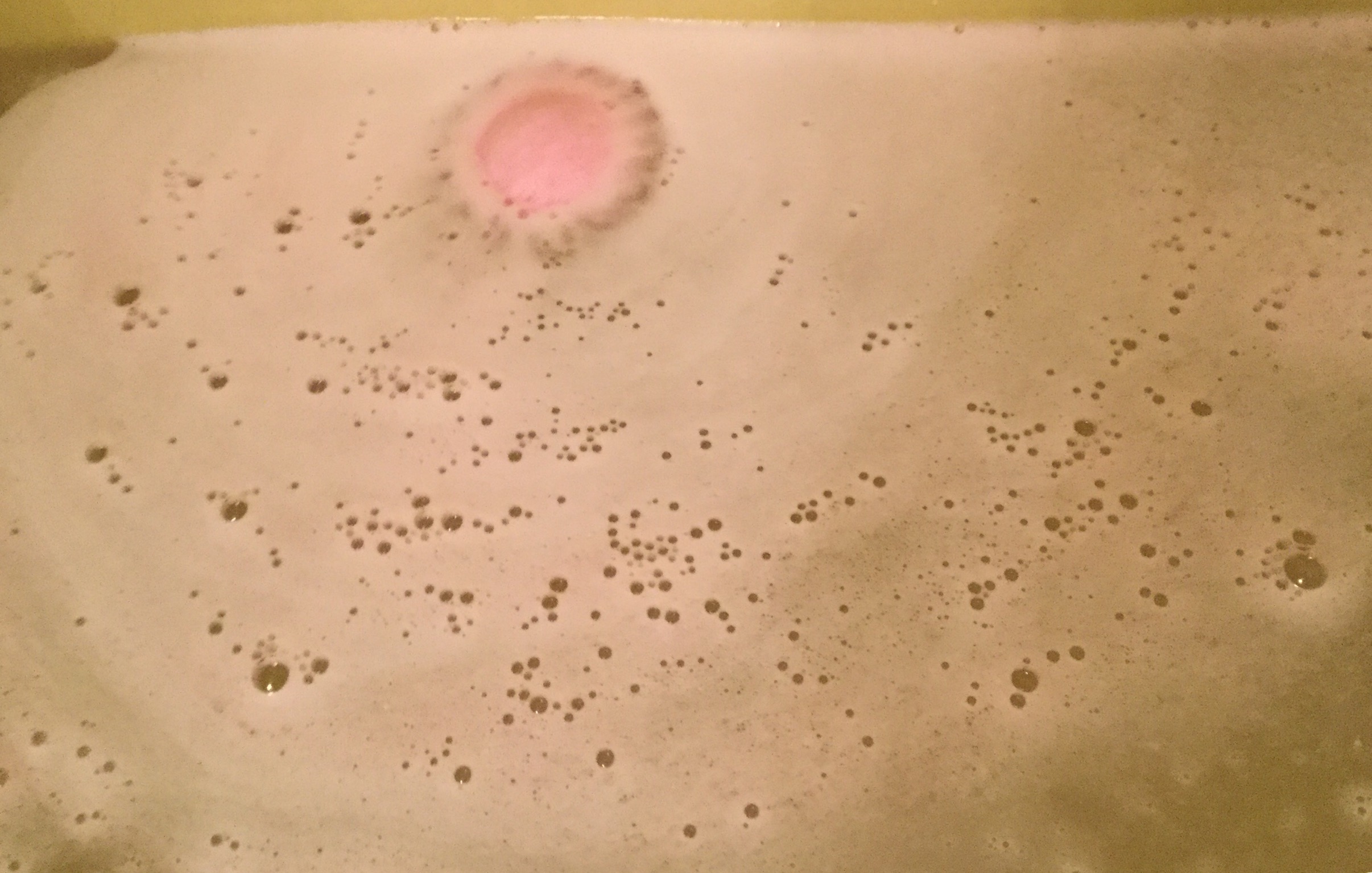 E5D1D313-C228-474C-8C83-182EDE5DAFEE