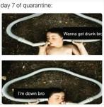 Self-Isolation Recommendations