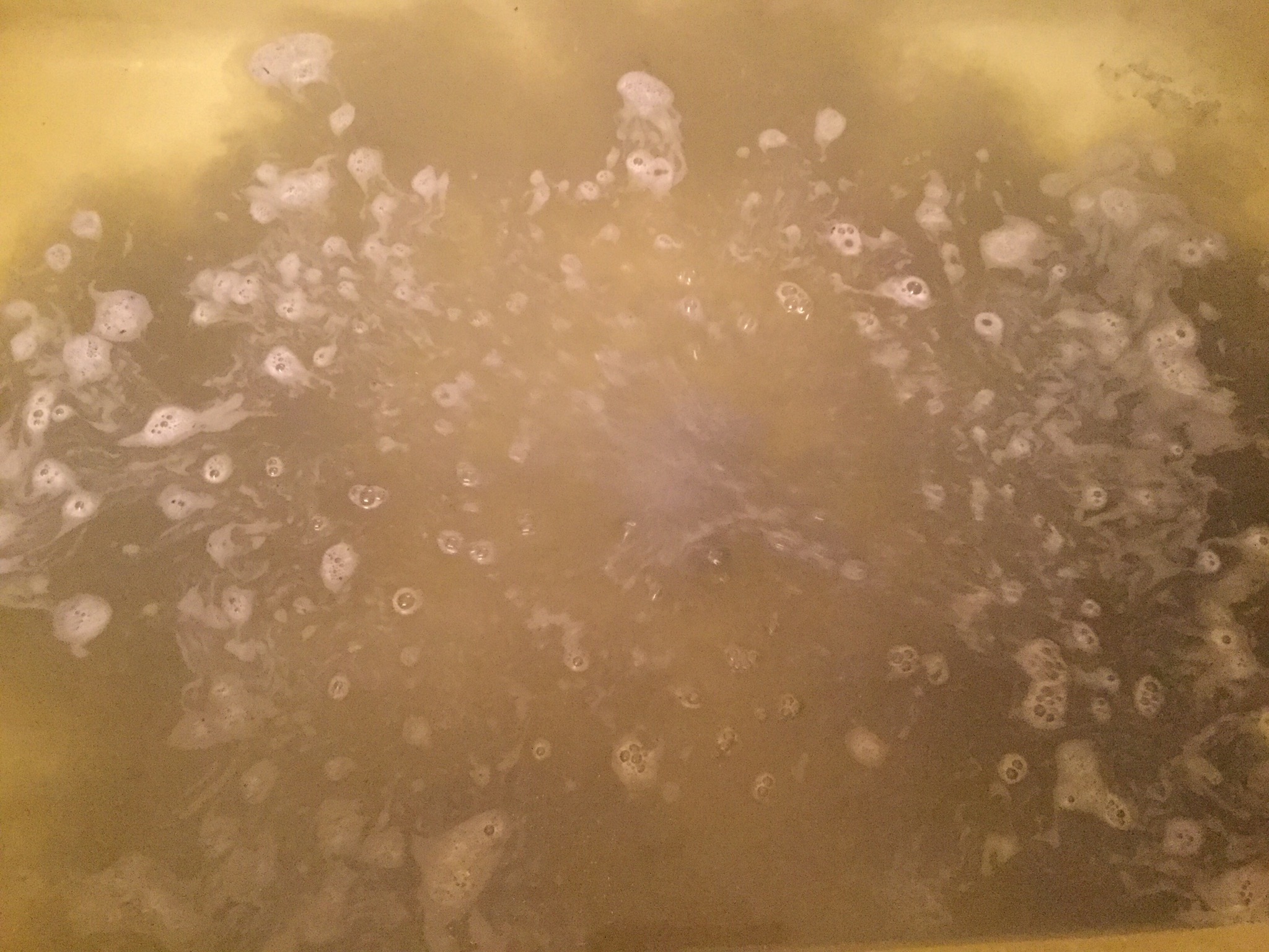 9379C9E9-67FD-4F10-A854-A3CCBFA28505