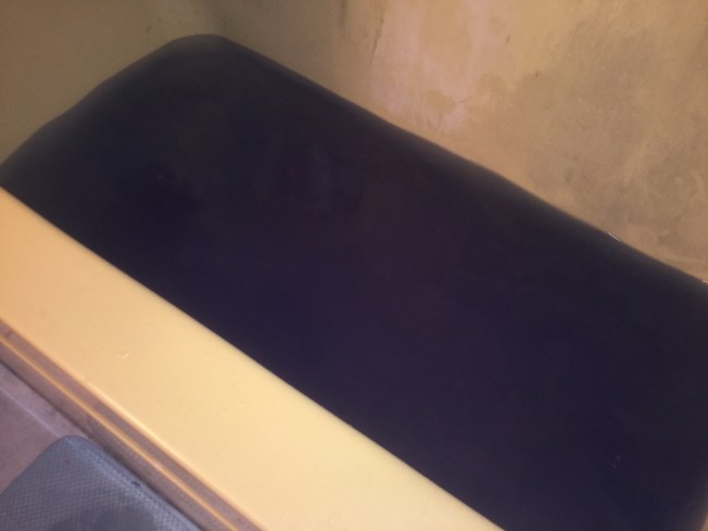 53001168-6364-4AA2-95AC-FB4D56C5E9EC