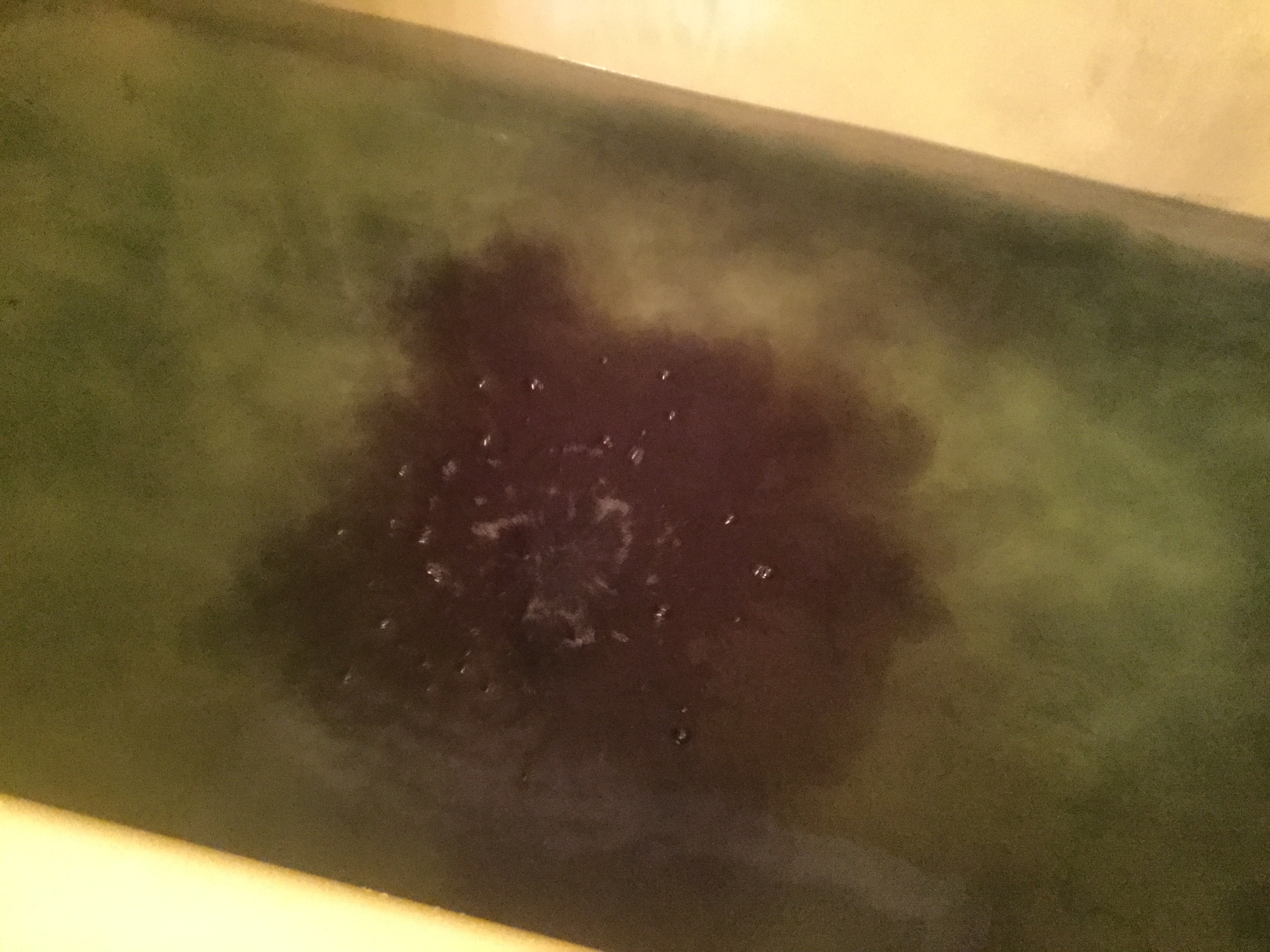 B209DE15-BC4B-471F-91EB-90A977CB3CAC