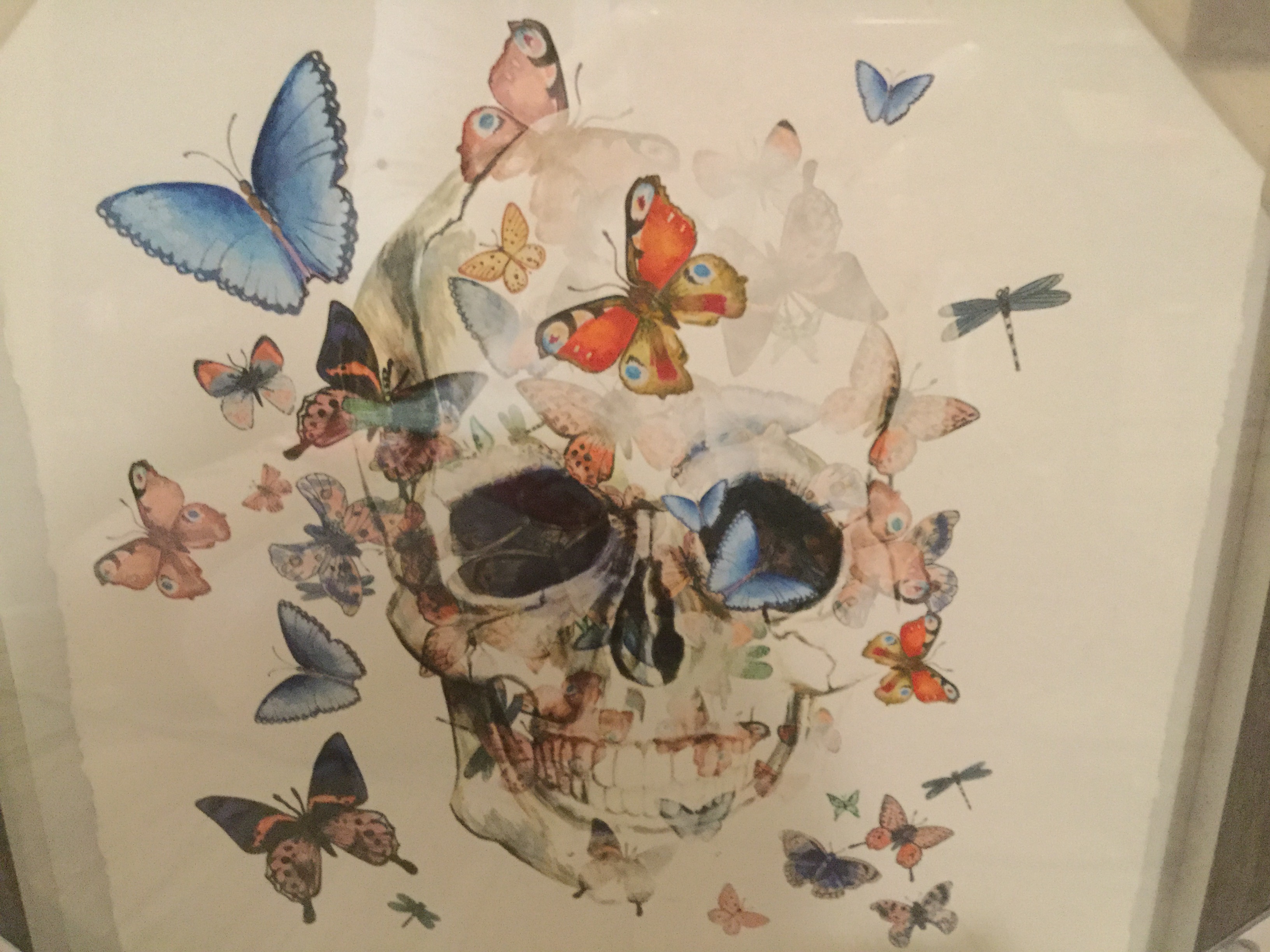 60D007A5-0390-42B5-815A-74B65B29EB9F