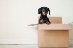 How To Choose A Moving&nbsp;Company