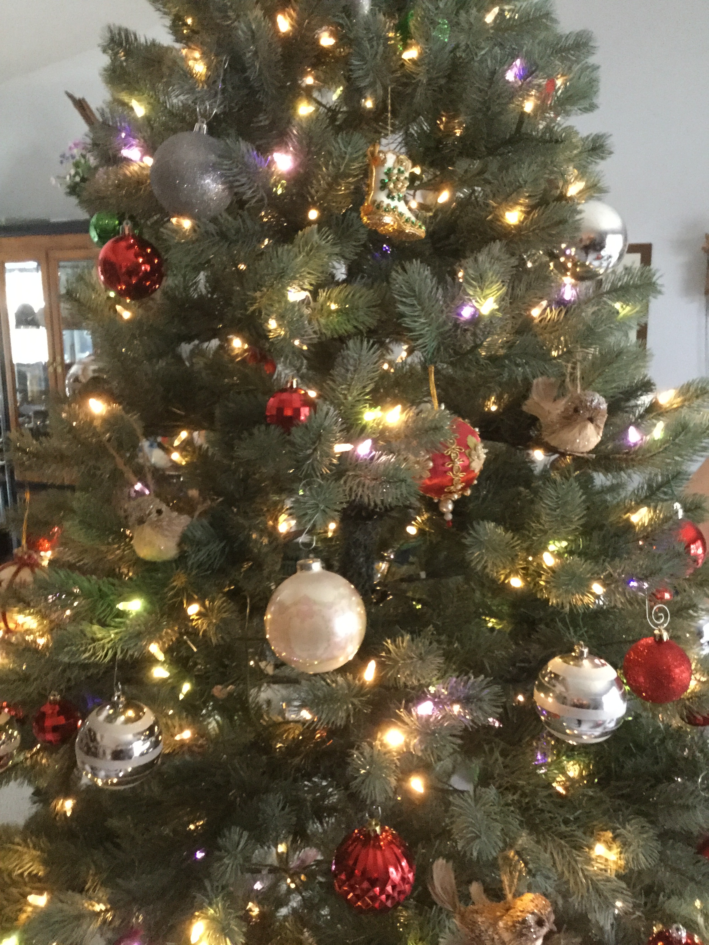 A0C29198-DBFD-497B-A6D5-87F6E53FC5A0