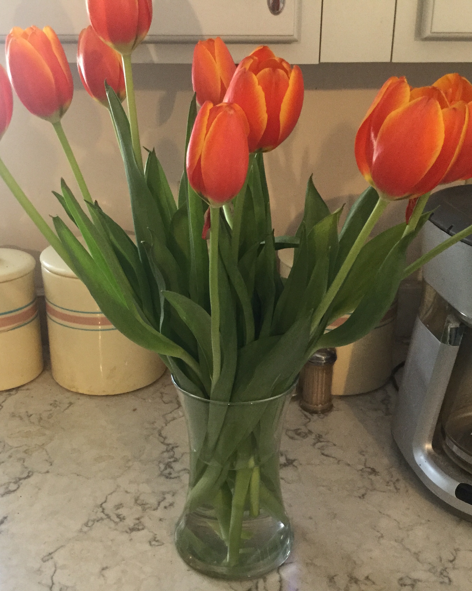 2759A47E-E88D-480C-997C-1B381A03567C