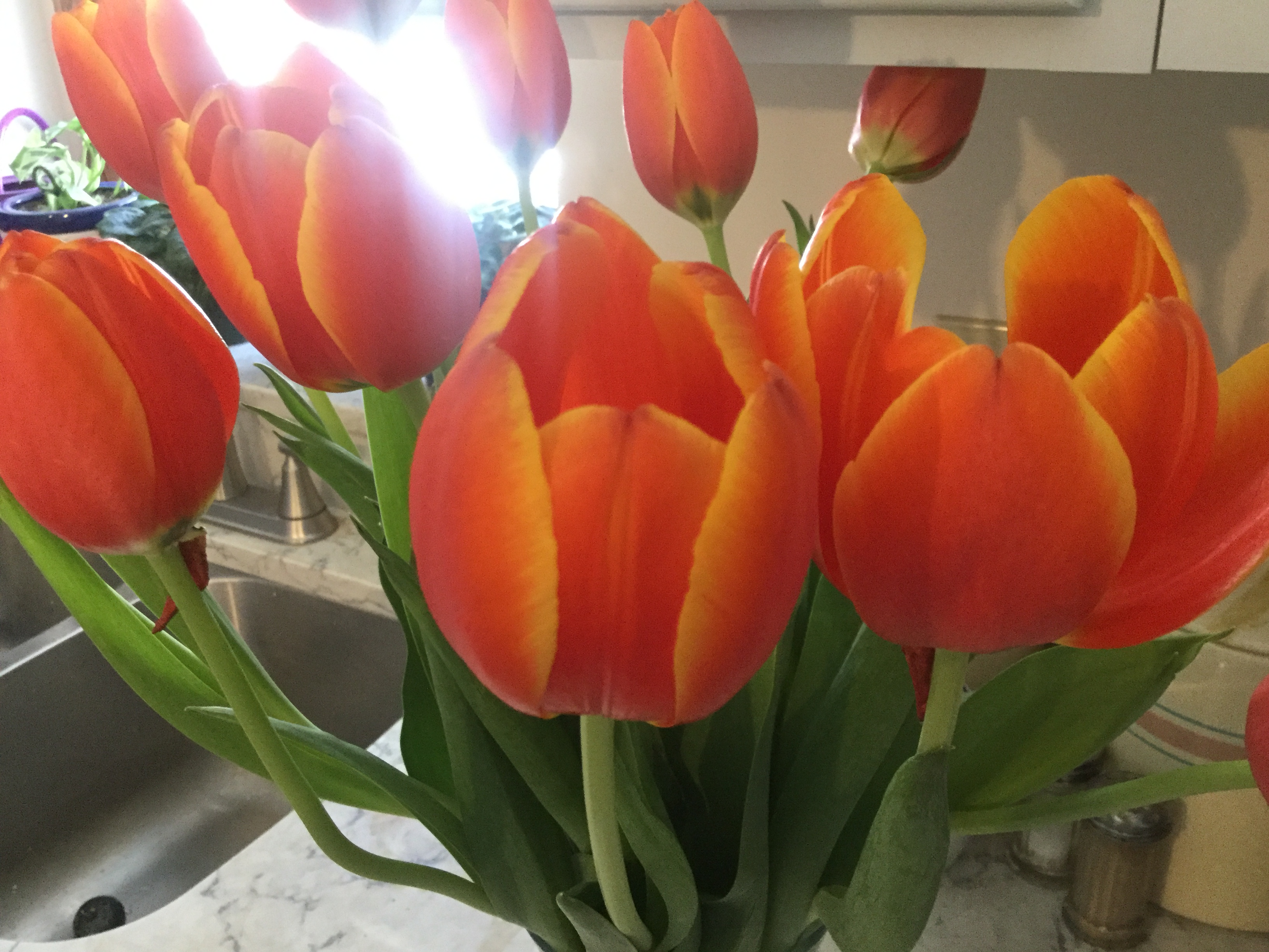 3582A83E-8889-4969-AE69-BC1DE263536A