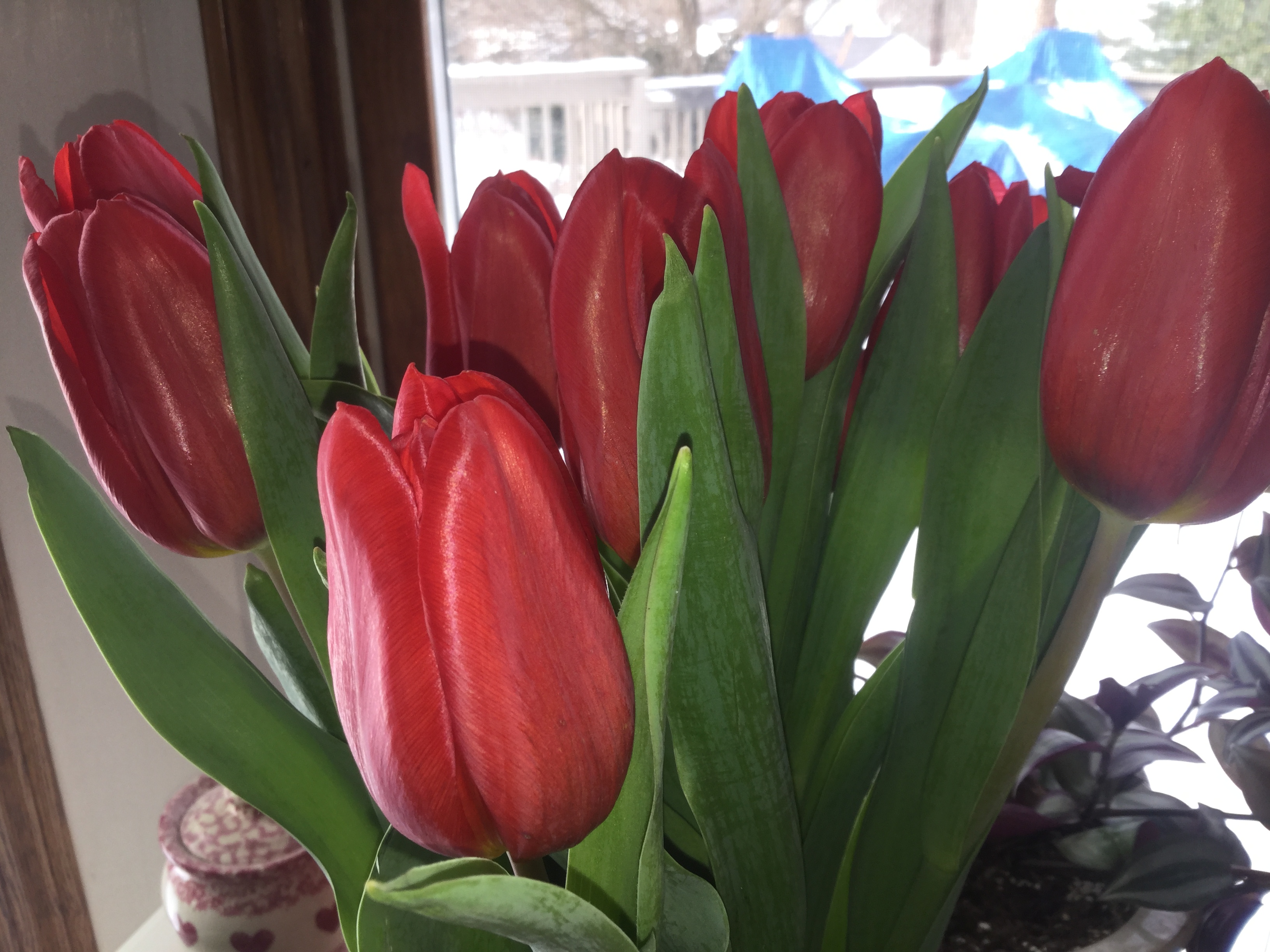 ABC1B09E-53ED-491A-A558-B5FA0CBDD99C