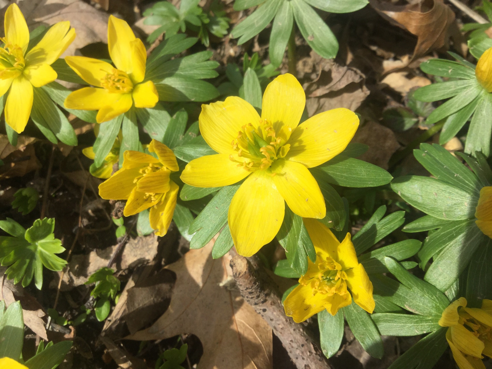 6D18CD22-B52D-4941-87D8-B97665426BC6