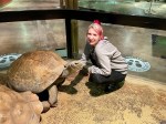 Akron Zoo Get Closer&nbsp;Experience