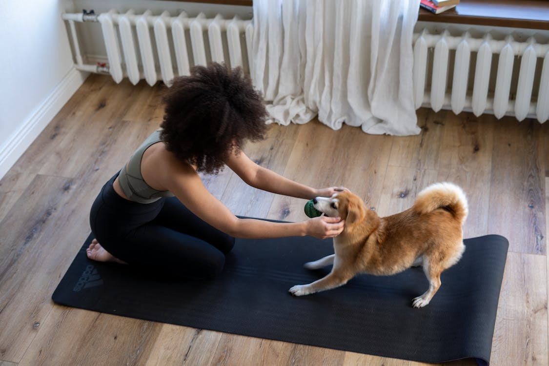 Making Good Decisions For Your Pet | lifewithlilred