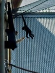 Akron Zoo Adventure